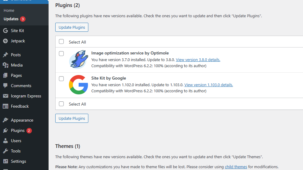 Updates For A Theme And Plugins Are Available. However, I Will Be Updating Plugins Only