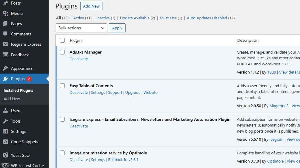 Updating Plugins In Bulk